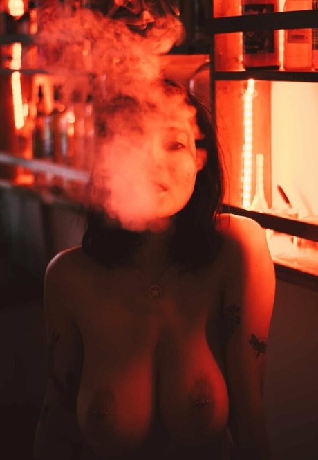 Wila Ribeiro art star image