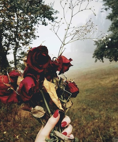 sloppy blowjob onlyfans hot porn image