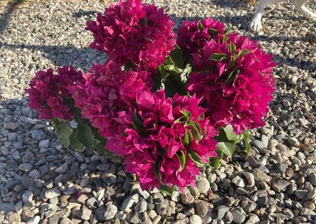 swinger milf onlyfans free xxx pics