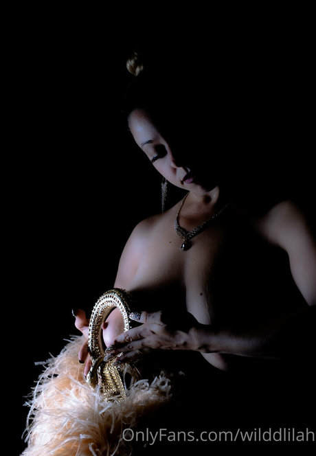 wilddlilah nice star photos