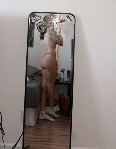 Frost 4070 top model photo