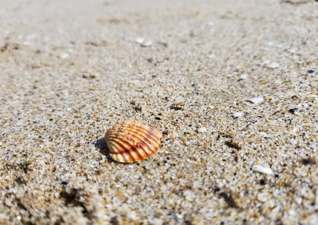 tommypistol Profile Pic