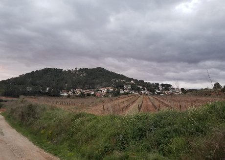 tattooed onlyfans beautiful gallery