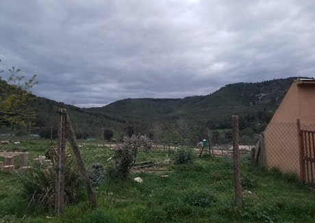 tommypistol nude actress pic