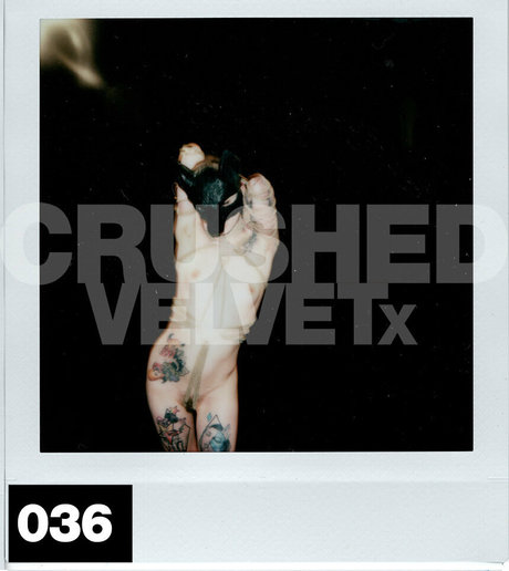 crushedvelvetx hd actress archive