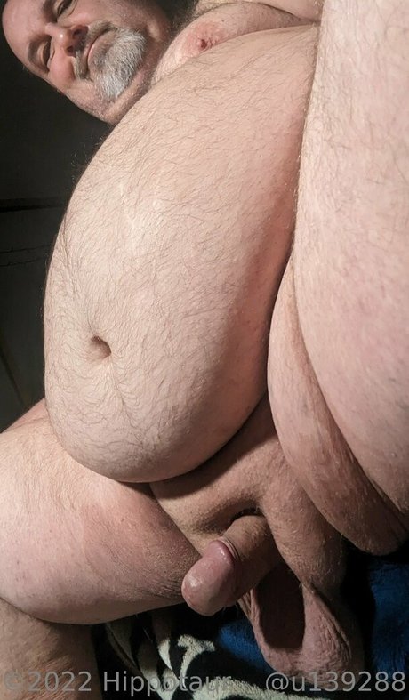 hippotaur xxx model galleries