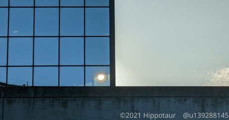 hippotaur adult actress picture