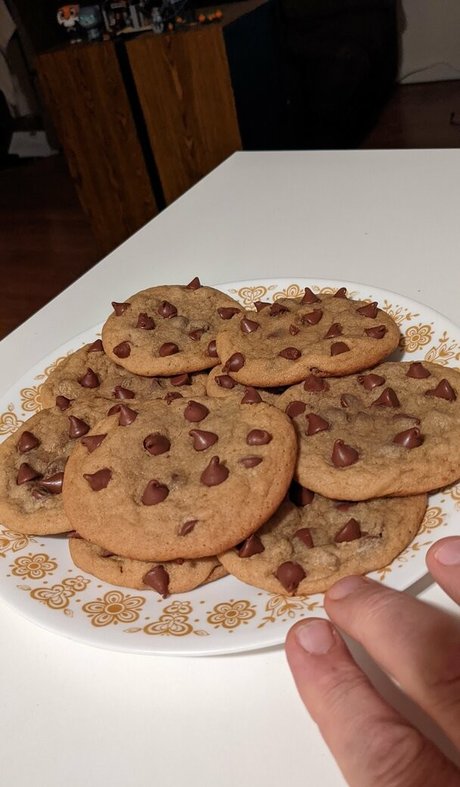 hippotaur free model gallery