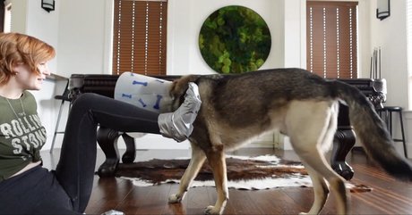 KallMeKris perfect pornstar picture