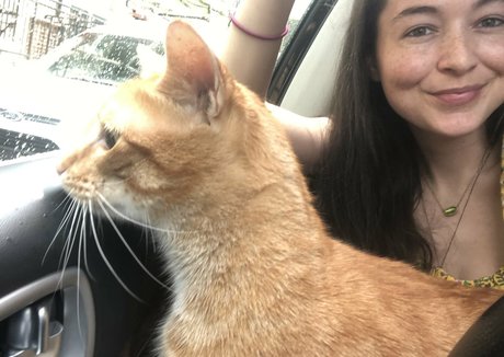 petite slut onlyfans beautiful porn pictures