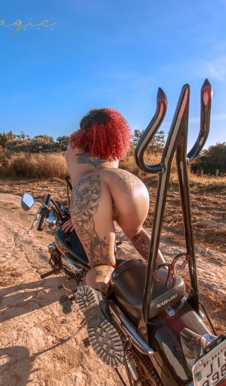 Varias Em Um hd model img