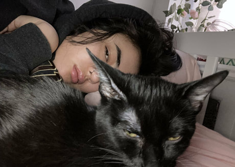 yesmissaphrodite beautiful star gallery