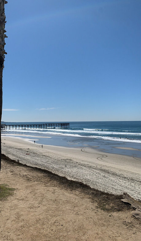 wellnesswithmary star perfect img