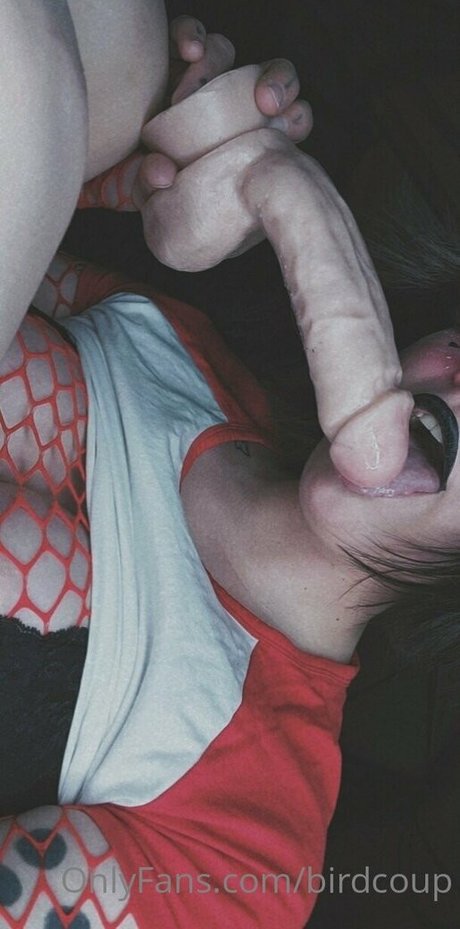 Birdcoup hot pornstar image