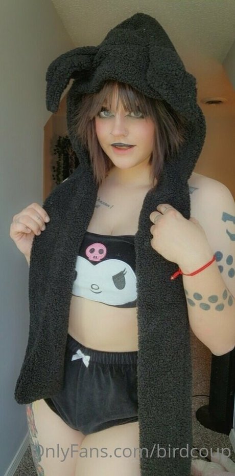 Birdcoup model perfect archive