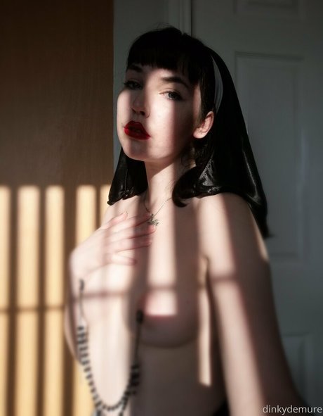 dinkydemure sex actress photo