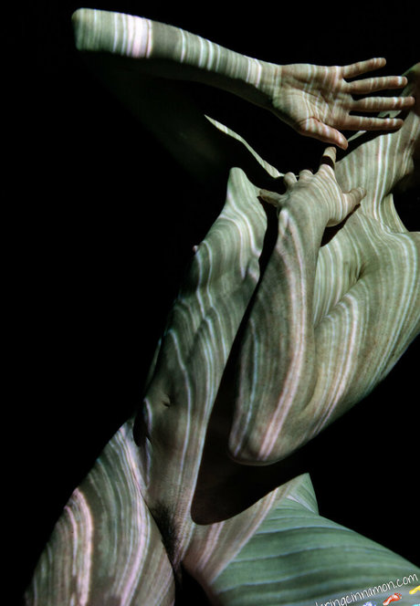 wanderingcinnamon2 star nudes img