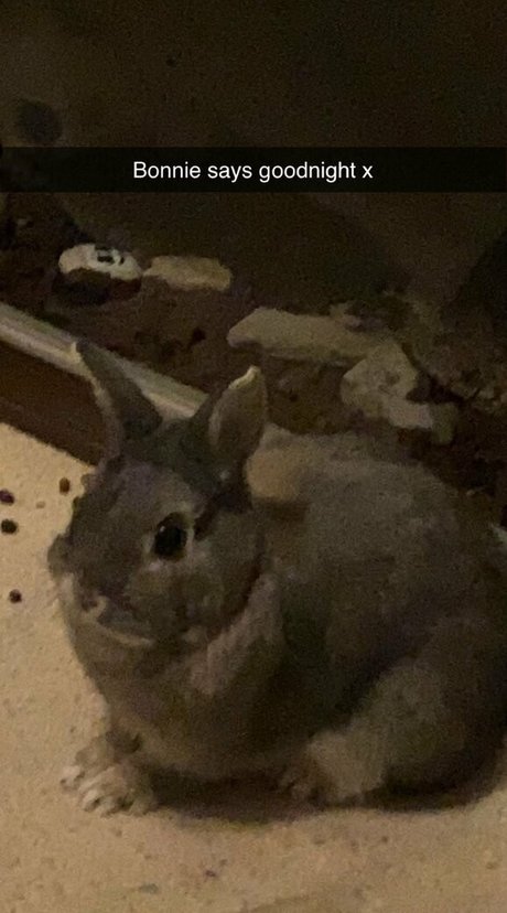 south onlyfans pornographic pic