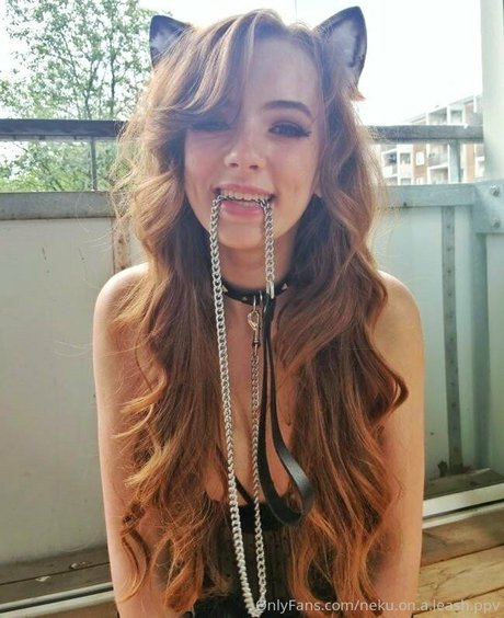 neku on a leash ppv Best Profile Photo