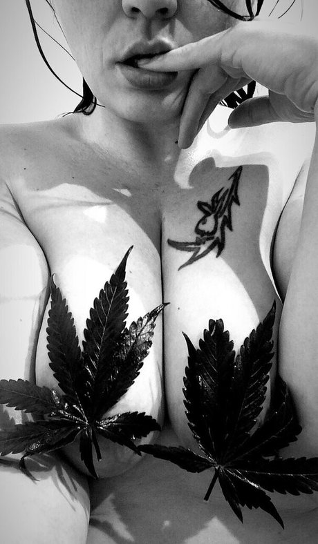 nikkihippy free star pics