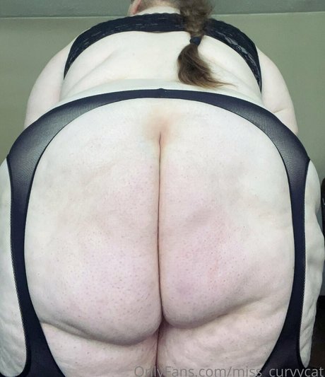 miss curvycat hot pornstar image