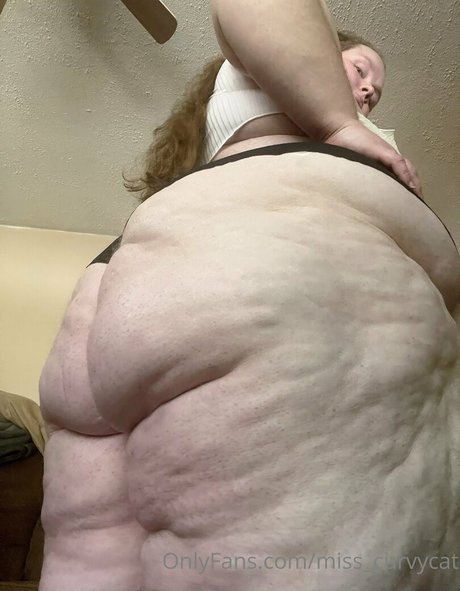 miss curvycat xxx star image