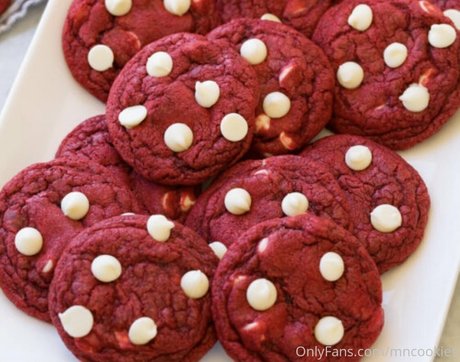 mncookies pornstar galleries