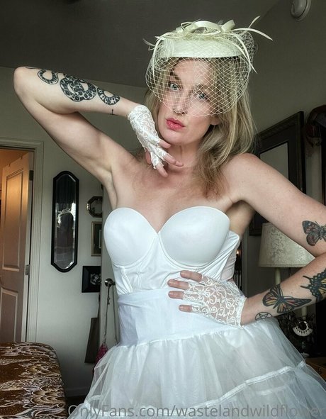 wastelandwildflower best star pics