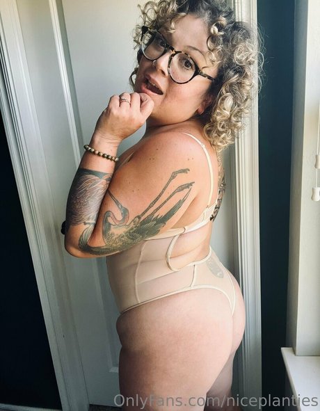 niceplanties star pornographic archive