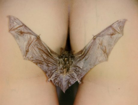 lesbian anal strapon onlyfans art nude img