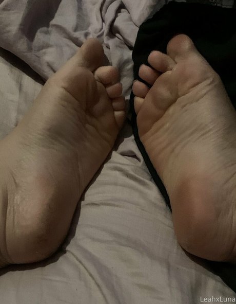 crypticalice star perfect galleries