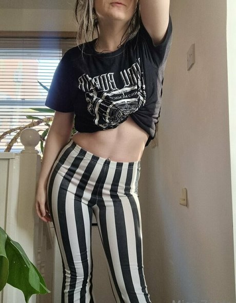 Miss Zelda model art pic