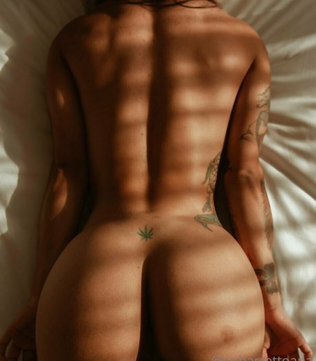 Ana Barreto model art archive