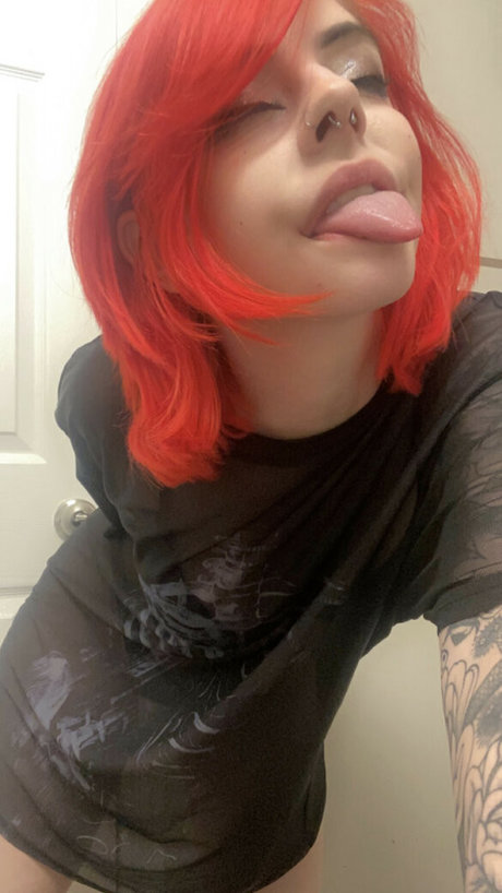 Catssnap hd star pictures