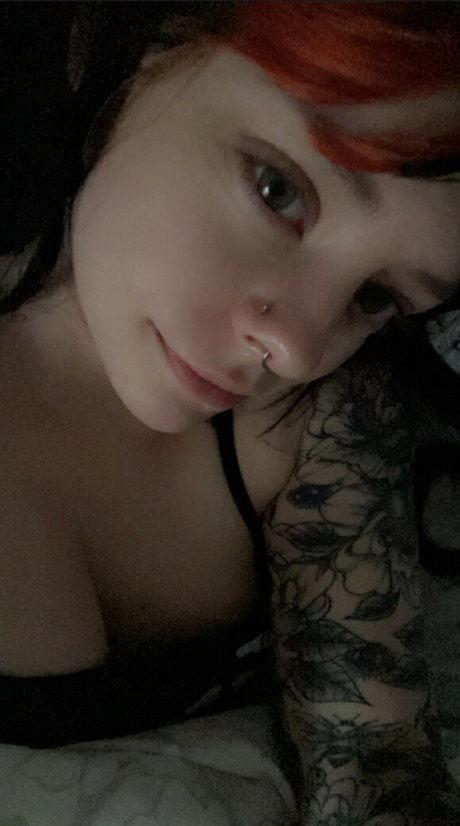 Catssnap best star photo