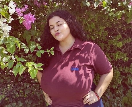 China Pocket star nice galleries