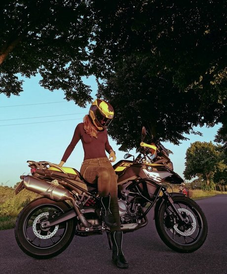 Hyrula star beautiful photos