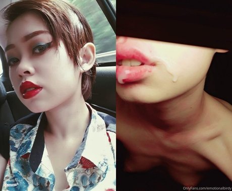 EmotionalBirdy exclusive star galleries