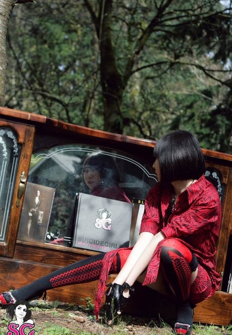 ArsenicLulu high quality star img