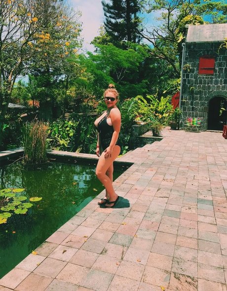 Harley Stein best star gallery