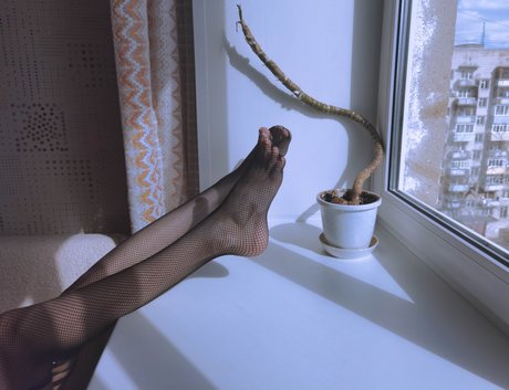 Lolihokage adult star pictures