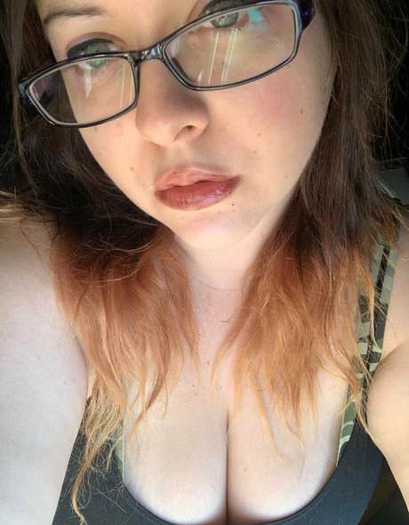 Novacurves model best image