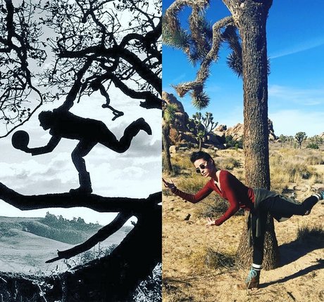 Allison Scagliotti pretty model img