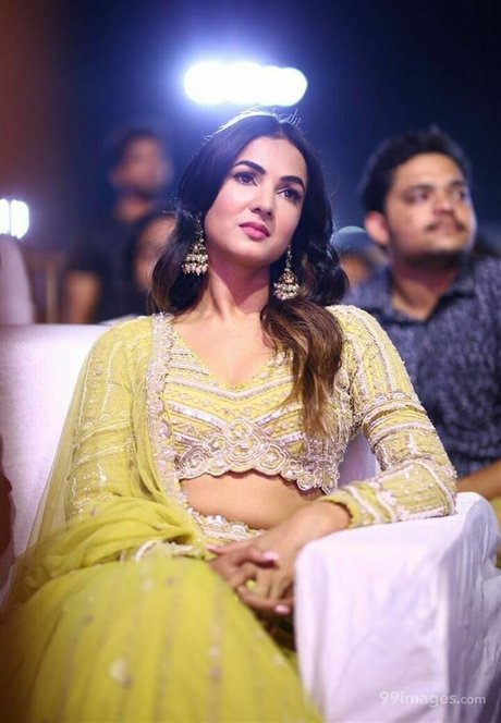 Sonal Chauhan art pornstar pictures