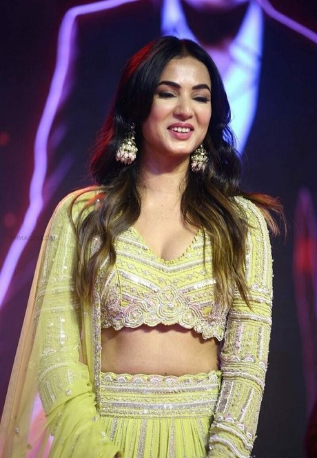 Sonal Chauhan sexy actress images