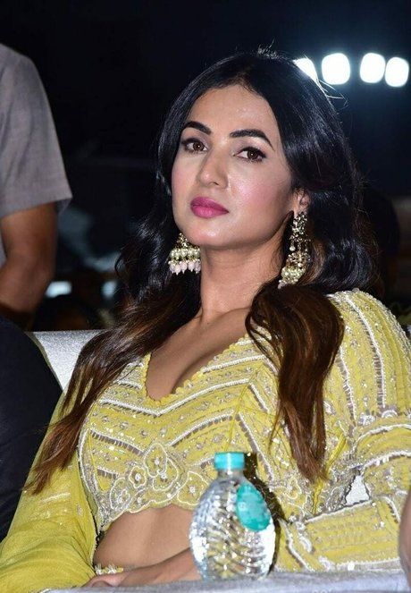 Sonal Chauhan beautiful pornstar gallery