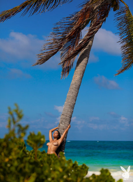 Priscilla Huggins Ortiz free pornstar pic