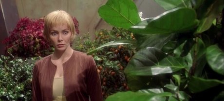 Annie Wersching nice star pic