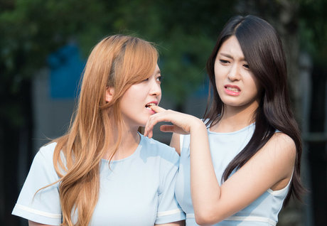 AOA Team exclusive star gallery