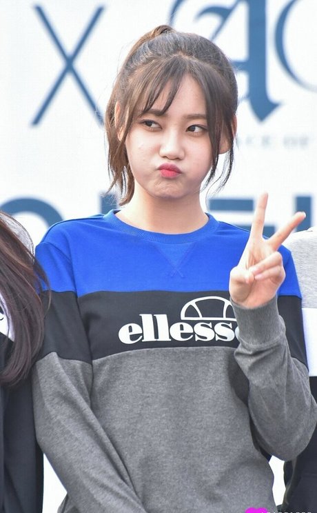 AOA Team star pornographic pics